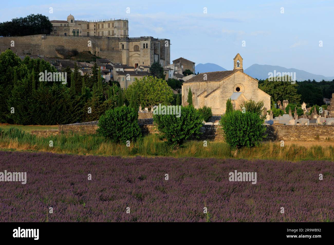 Dall'altra parte del campo di lavanda verso Chateaux de la Drome Grignan Nyons Drome France Foto Stock