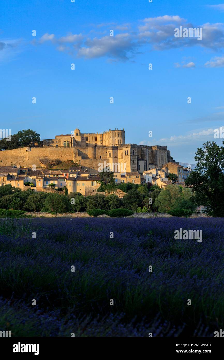 Dall'altra parte del campo di lavanda verso Chateaux de la Drome Grignan Nyons Drome France Foto Stock