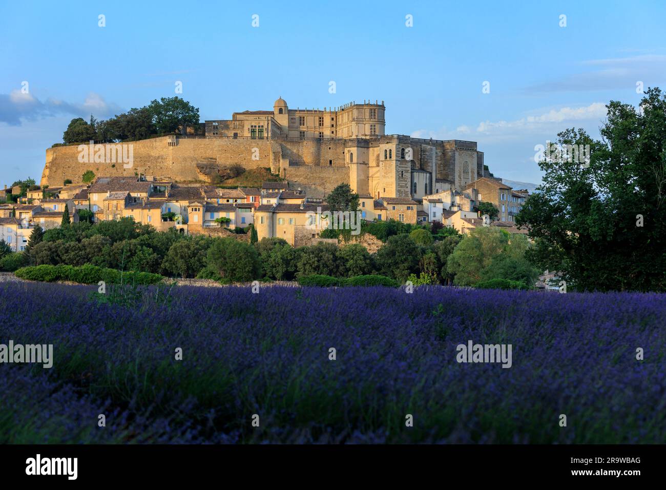 Dall'altra parte del campo di lavanda verso Chateaux de la Drome Grignan Nyons Drome France Foto Stock