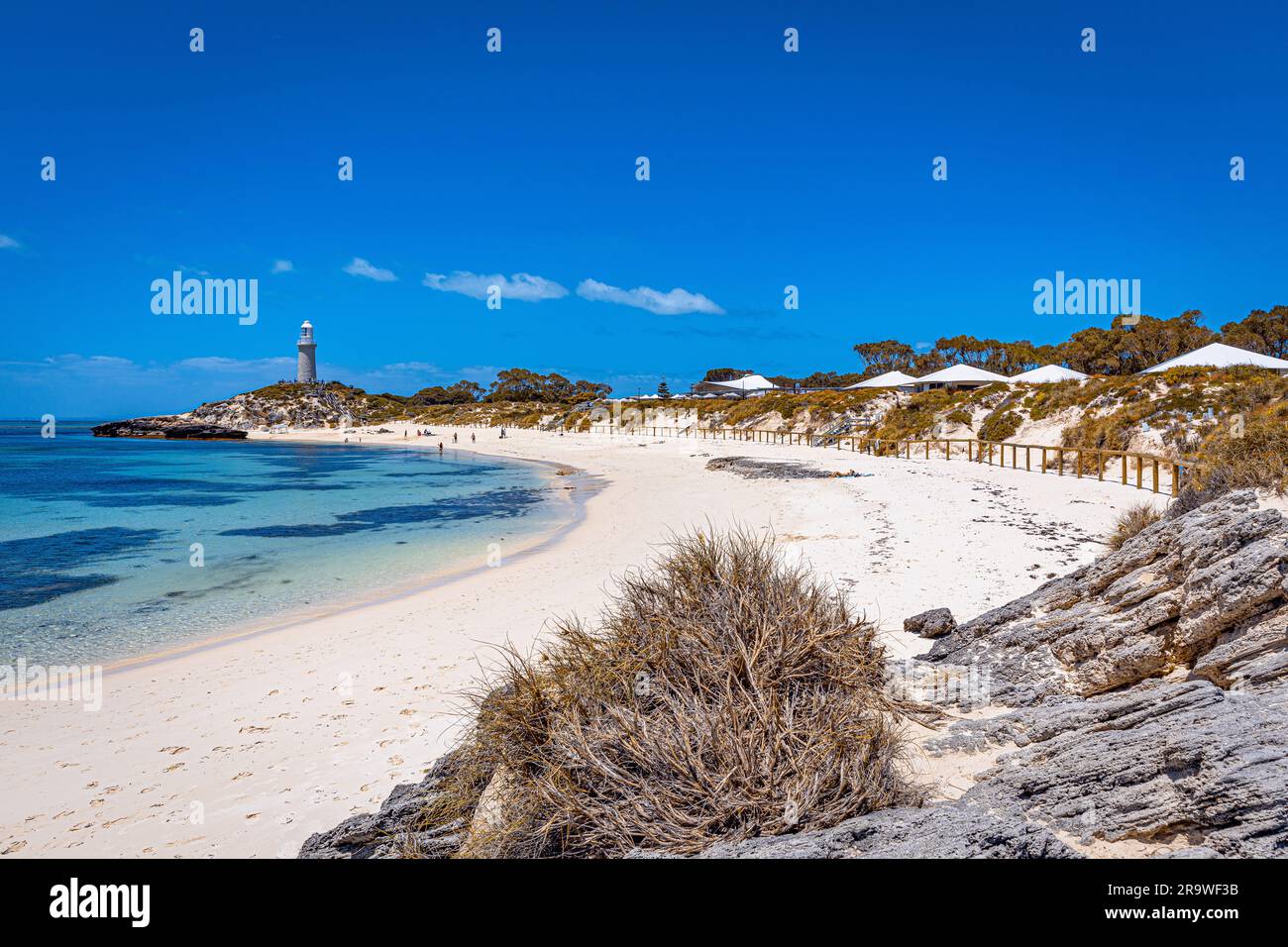 L'Isola di Rottnest, Australia occidentale Foto Stock