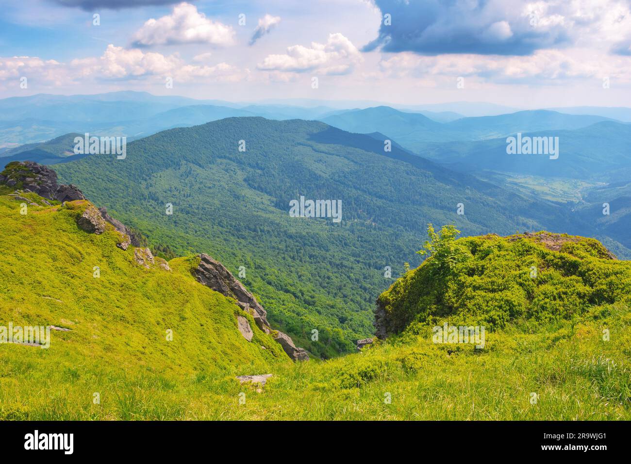 natura paesaggio in montagna. cresta dello spartiacque dei carpazi in estate. tempo soleggiato Foto Stock