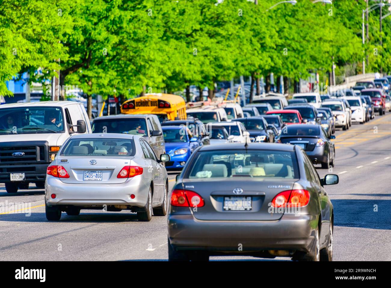 Traffico congestionato o ingorgo in Victoria Park Avenue. Foto Stock