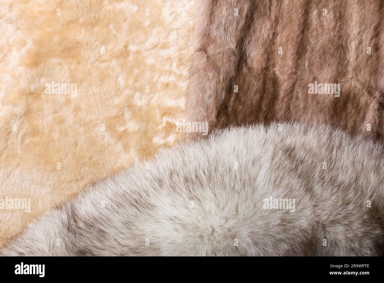 Pelle di pecora bionda, volpe blu e pellicce di visone rosso zibellino Foto Stock