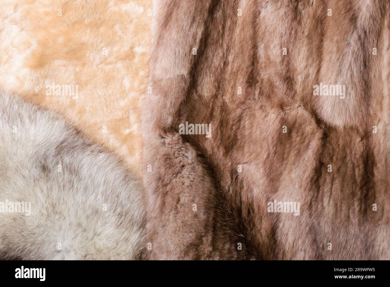 Pelle di pecora bionda, volpe blu e pellicce di visone rosso zibellino Foto Stock