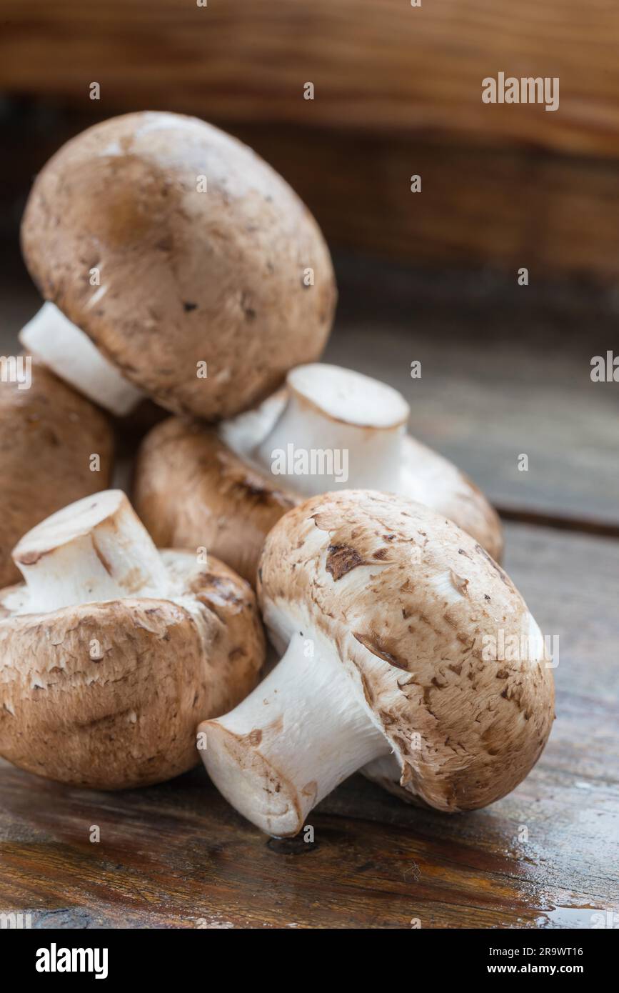 Primo piano di funghi freschi (Agaricus bisporus), su legno Foto Stock