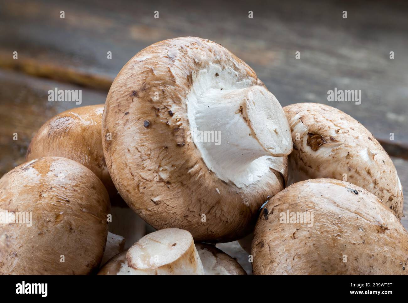 Primo piano di funghi freschi (Agaricus bisporus), su legno Foto Stock