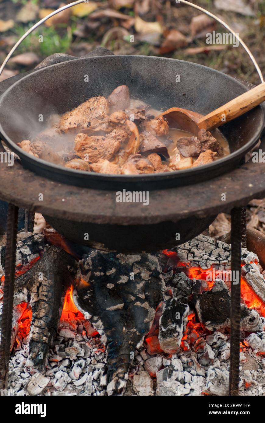 deliziosa carne di maiale e organi tradizionalmente cotti nel calderone Foto Stock
