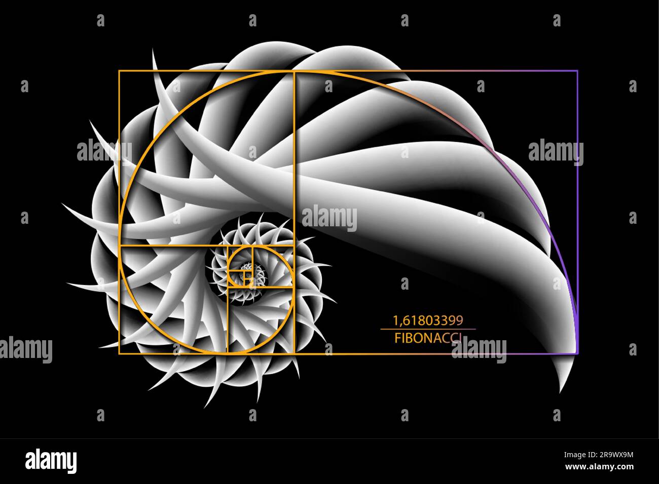 Fibonacci Sequence Golden ratio. Forme geometriche a spirale. Spirale lumaca 3D. Conchiglia marina di cerchi bianchi. Modello logo a geometria sacra. Vettore isolato Illustrazione Vettoriale