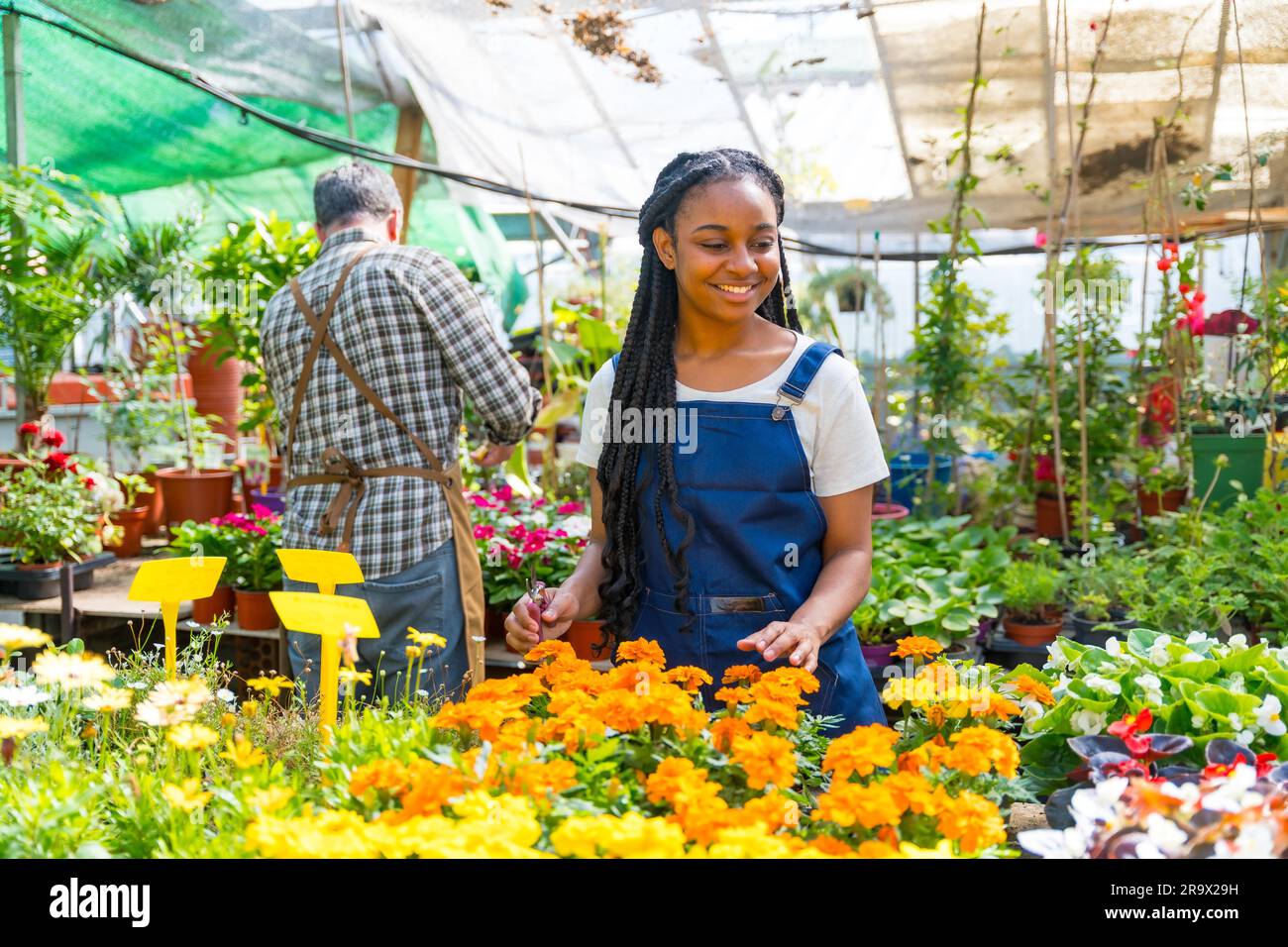 Serra dei fiori vivaisti che lavorano, sorridente agricoltura che si prende cura dei fiori Foto Stock