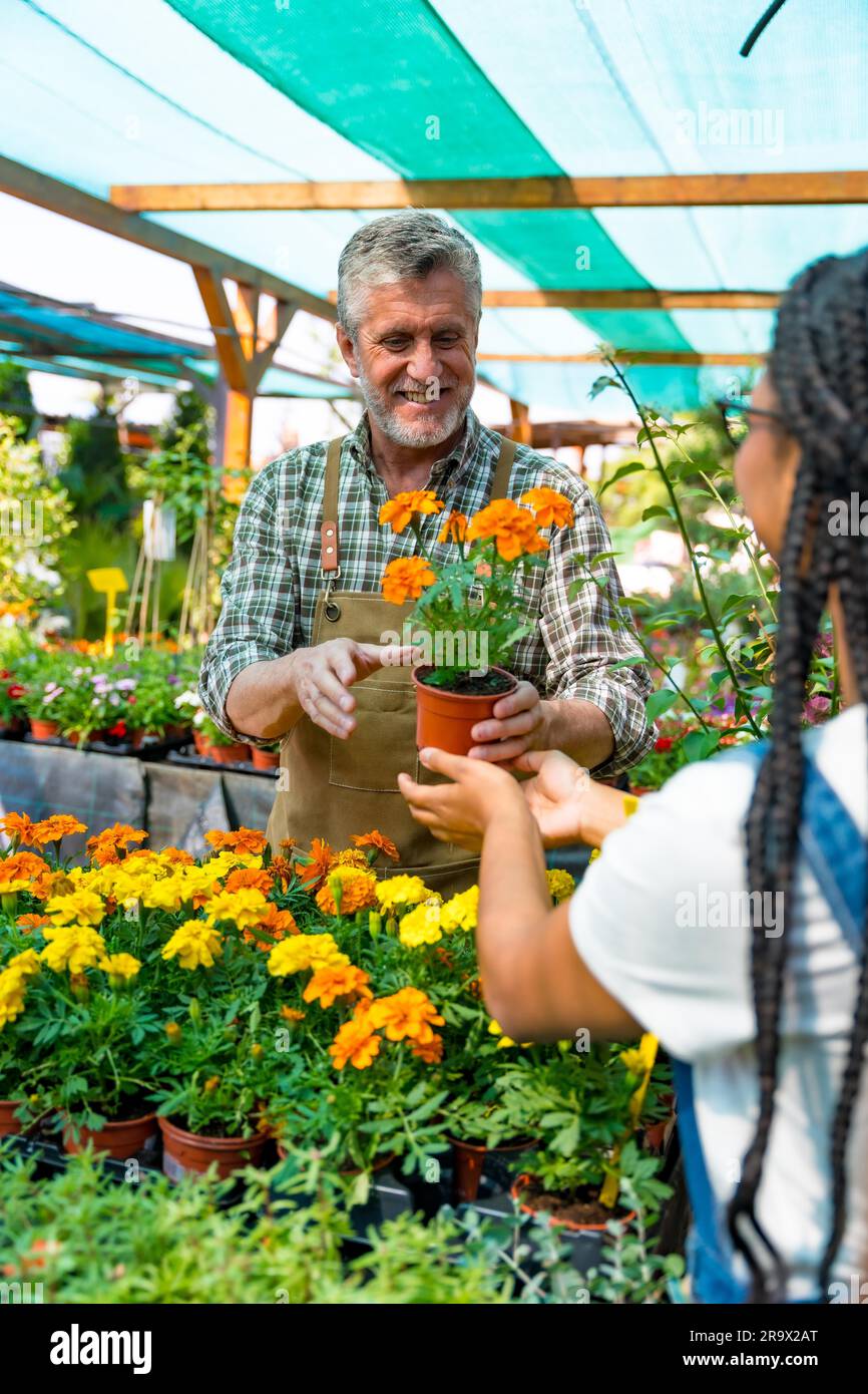 Una cliente felice che acquista fiori d'arancio da un giardiniere in un vivaio all'interno della serra Foto Stock