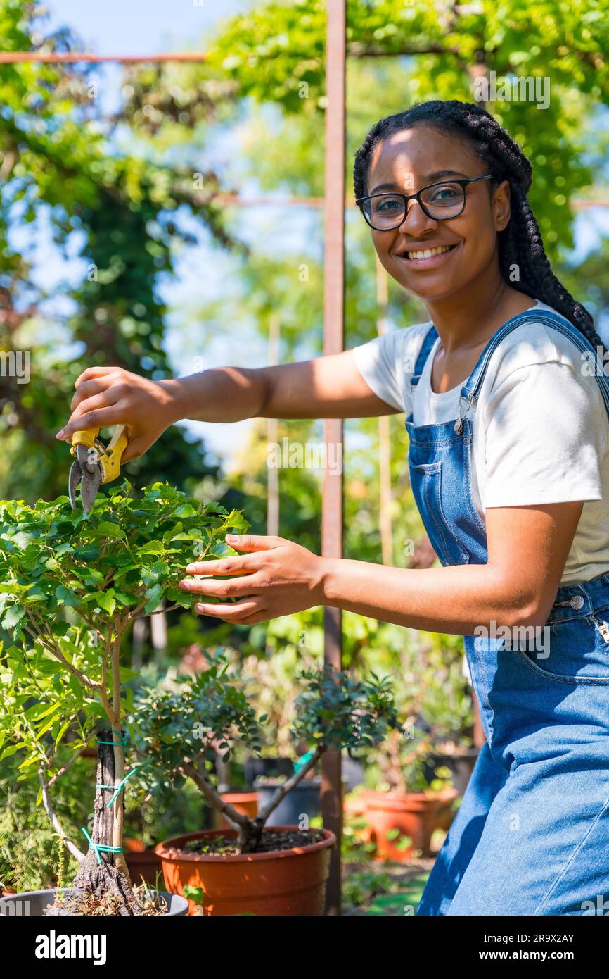 Ritratto di donna etnica nera con trecce giardiniere che lavora nel vivaio all'interno della serra tagliando gli alberi bonsai Foto Stock