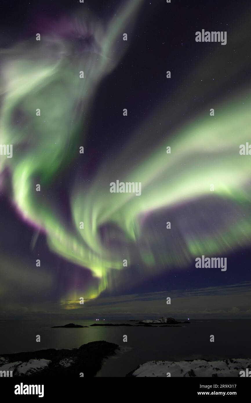 Aurora boreale (Aurora boreale) in verde e rosa sul Mare del Nord, Andoya, Vesteralen, Norvegia Foto Stock