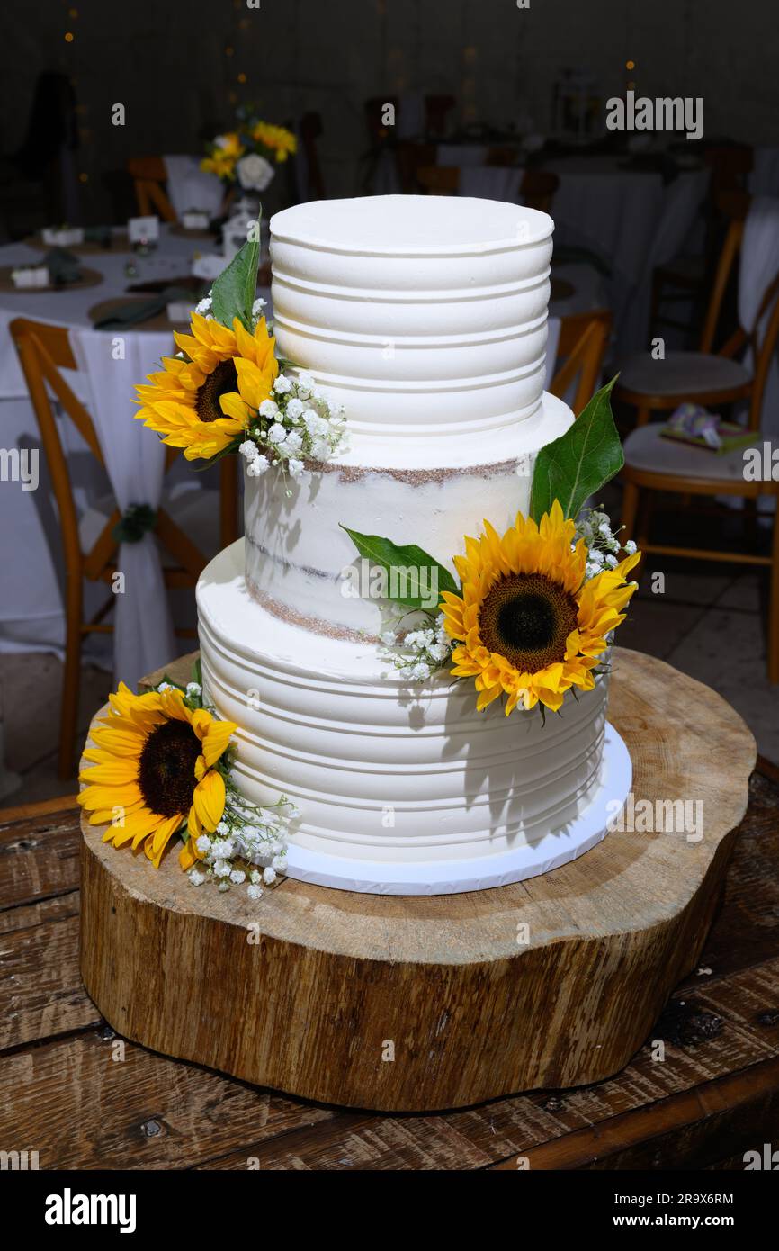 Torta nuziale a tre piani con girasoli freschi Foto Stock