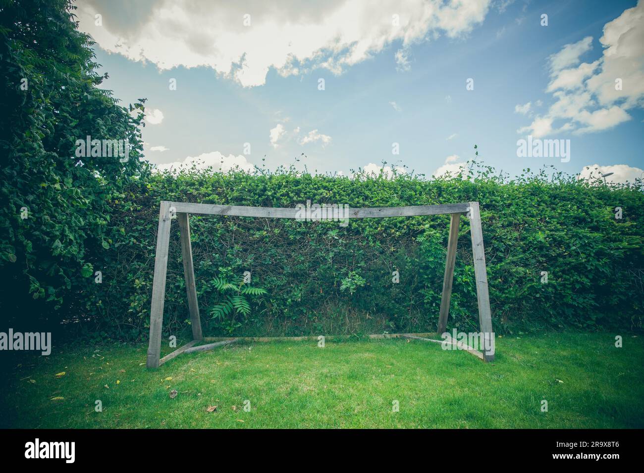 Backyard soccer obiettivo su un prato verde in estate Foto Stock