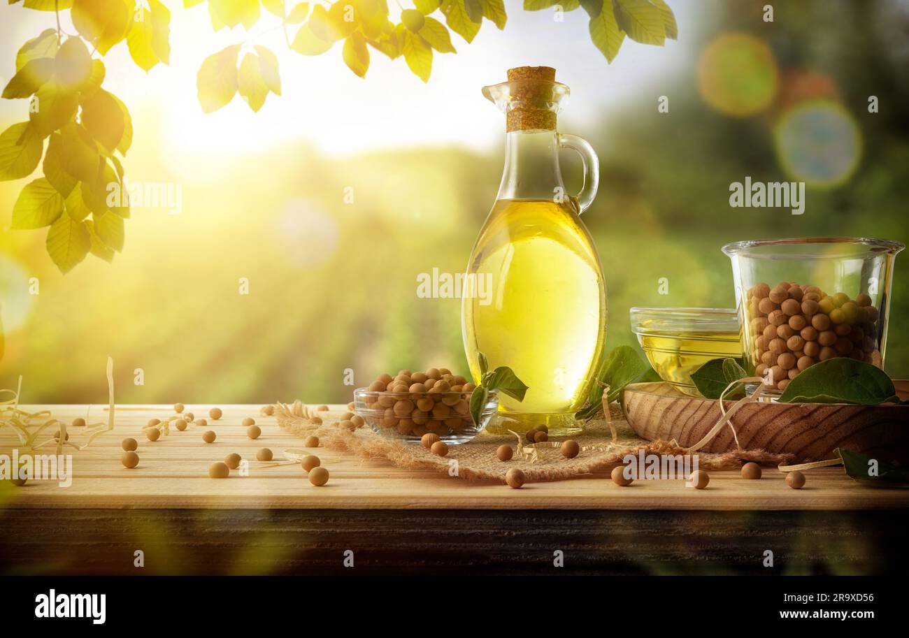 Olio di soia in bottiglia e fagioli secchi su tavola in legno rustico in campo con raccolta alle spalle. Vista frontale. Foto Stock