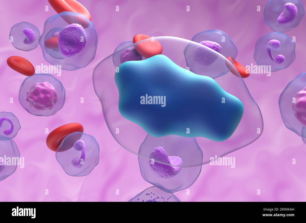 Paracetamolo (acetaminofene, TYL) molecola nel flusso sanguigno - vista primo piano illustrazione 3d. Foto Stock