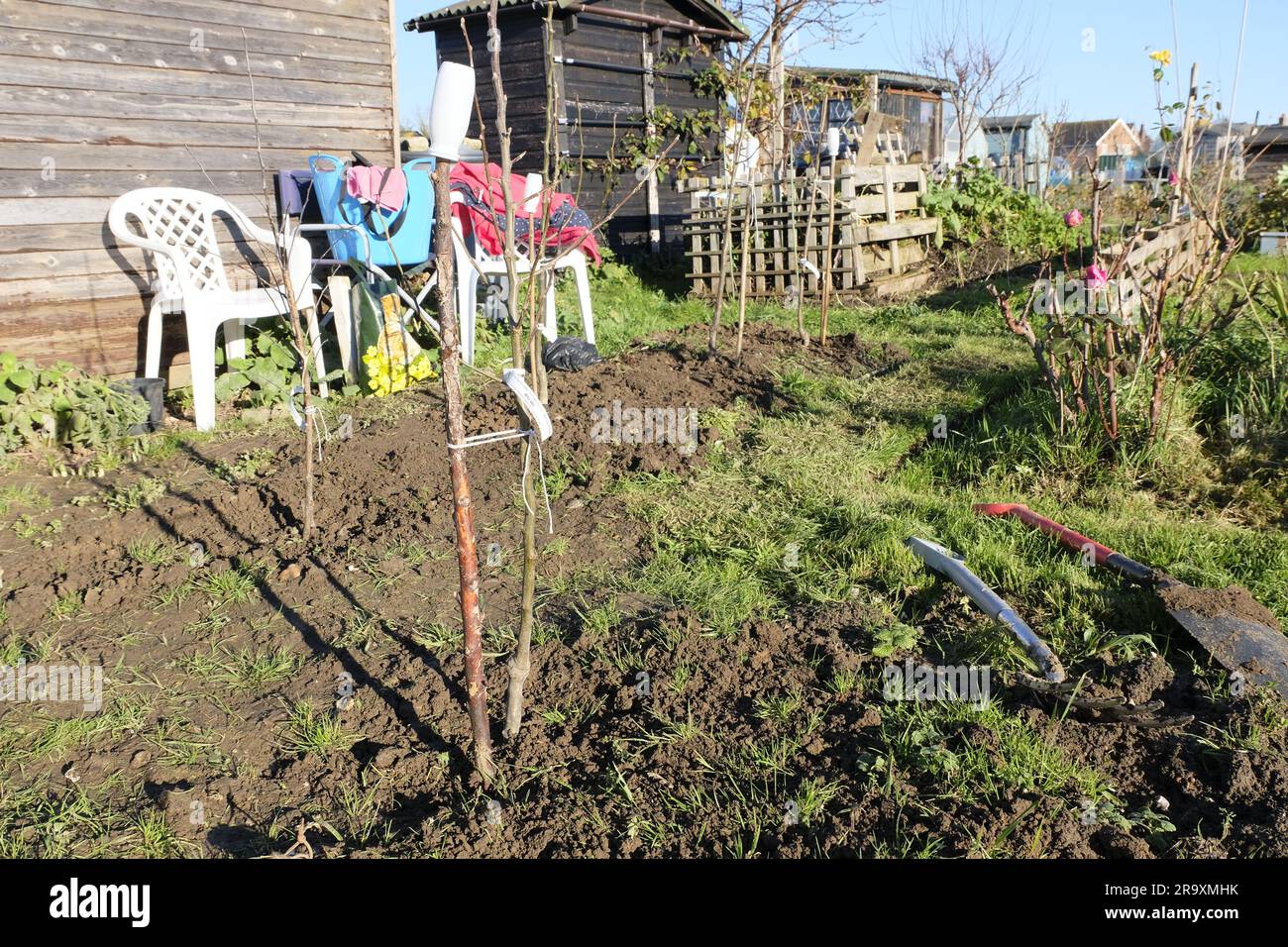 Soleggiata mattinata di dicembre sulla dotazione del Regno Unito Foto Stock