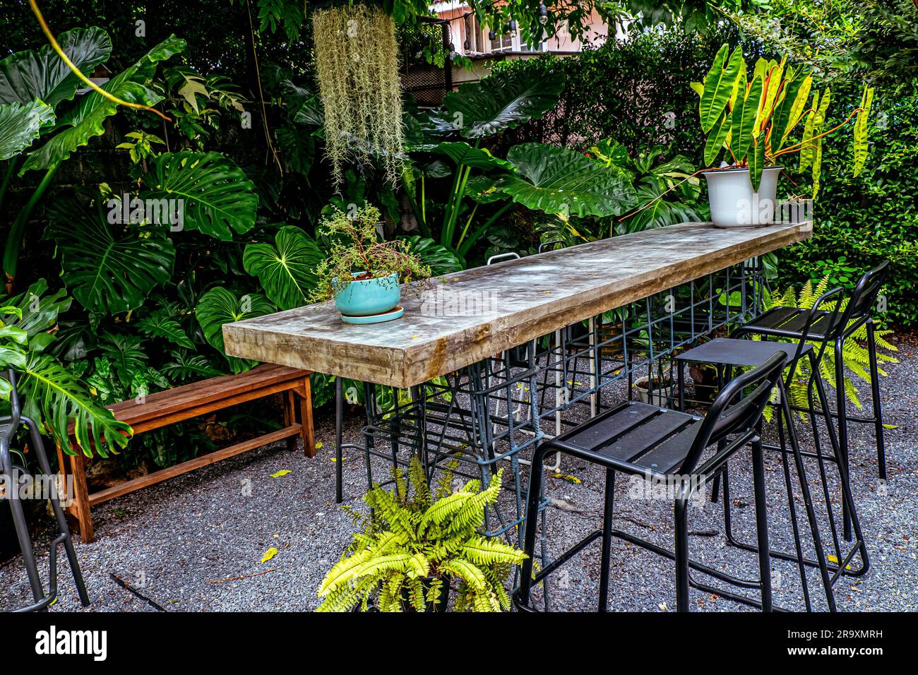 Un lungo tavolo in legno rustico e sgabelli da bar neri sorgono all'interno di un lussureggiante patio circondato da vegetazione tropicale verde. Foto Stock