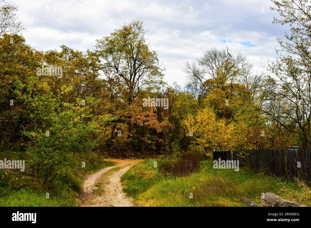 Recinzione in legno del cortile del villaggio. Strada di campagna e paesaggio autunnale della lussureggiante foresta decidua Foto Stock