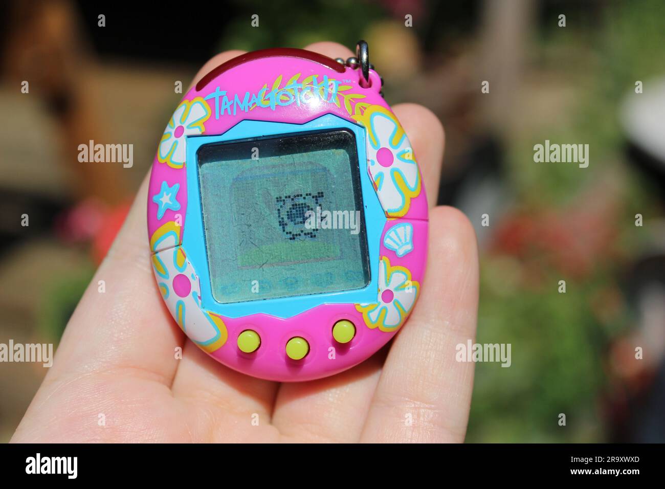 Foto raffigurante un dispositivo tamagotchi, rosa con fiori tropicali, tenuto in mano da qualcuno. Foto Stock