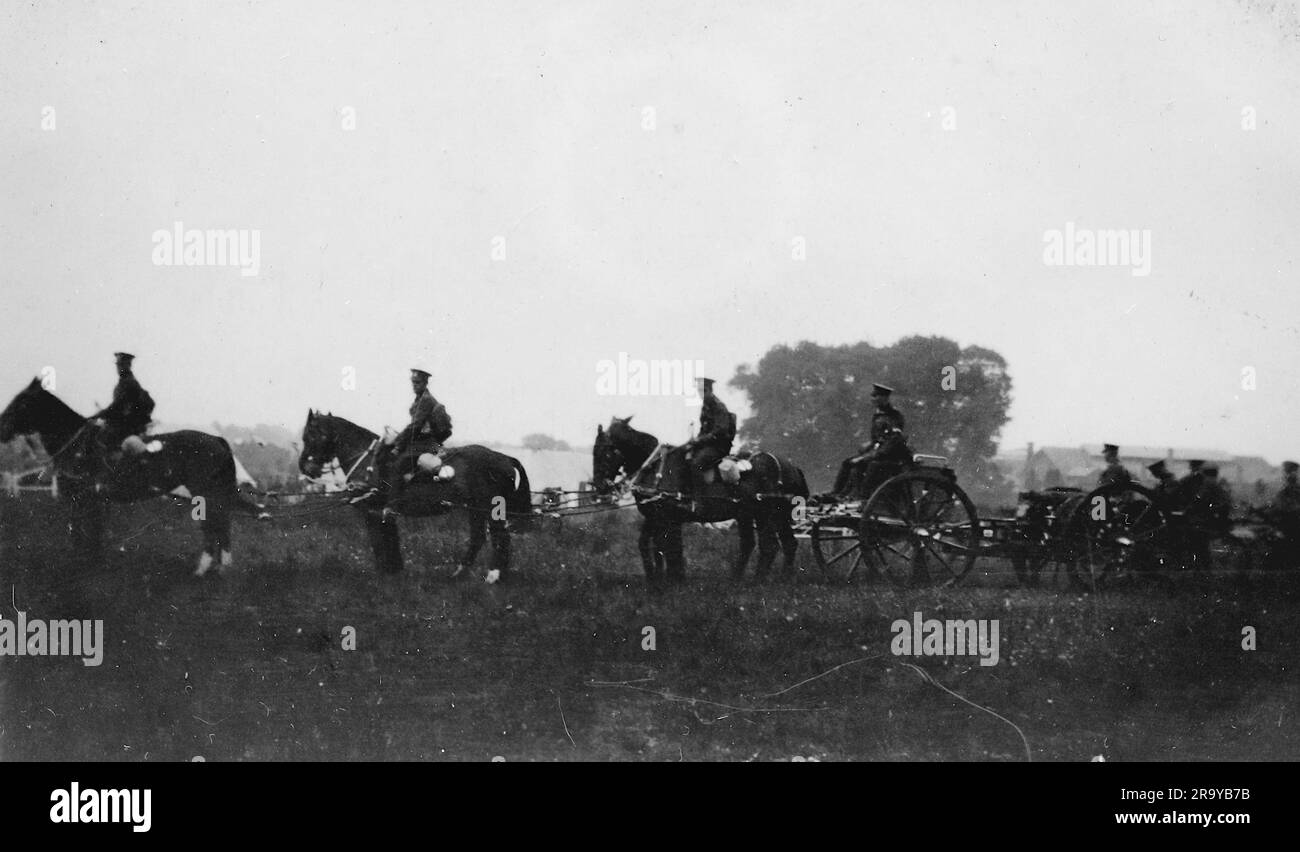 Un gruppo di truppe a cavallo che tirano una carrozza. Si tratta di una fotografia tratta da un album di scatti principalmente istantanee, c1929, durante l'occupazione della Palestina da parte dell'esercito britannico, con foto dalla Palestina e dal Regno Unito tra cui devil's Jump vicino a Churt nel Surrey e devil's Punch Bowl. L'addestramento sembra essere a Hursley Camp, vicino a Winchester. La Gran Bretagna amministrò la Palestina per conto della società delle Nazioni tra il 1920 e il 1948, un periodo denominato "mandato britannico”. Foto Stock
