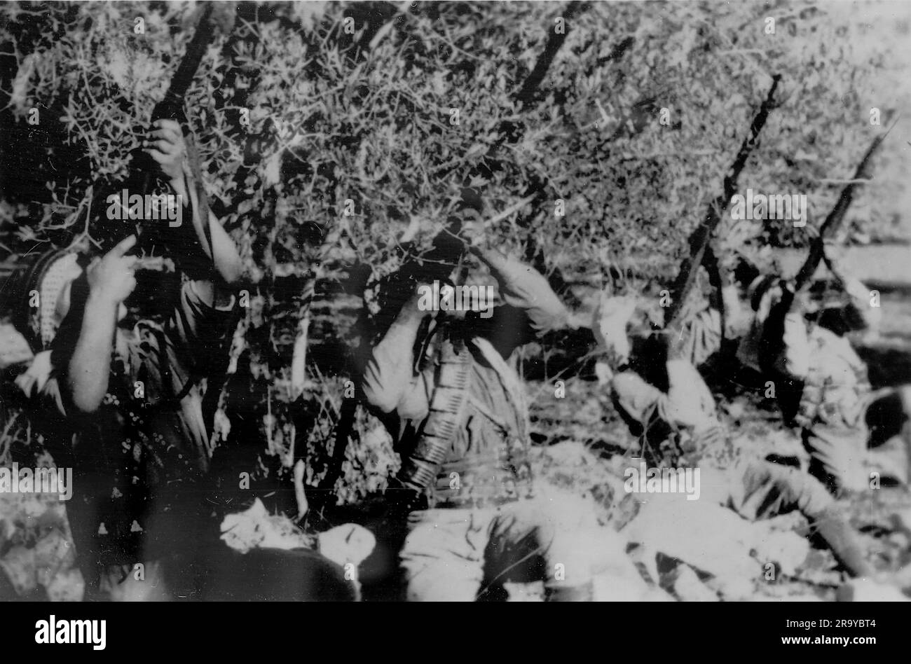 Un gruppo di arabi armati che puntano i fucili in aria, parte di un gruppo descritto come "briganti" (un membro di una banda che imboscava e derubava le persone nelle foreste e nelle montagne). Questa fotografia è tratta da un album fotografico di fotografie, c1937, durante l'occupazione della Palestina da parte dell'esercito britannico. La Gran Bretagna amministrò la Palestina per conto della società delle Nazioni tra il 1920 e il 1948, un periodo denominato "mandato britannico”. Foto Stock
