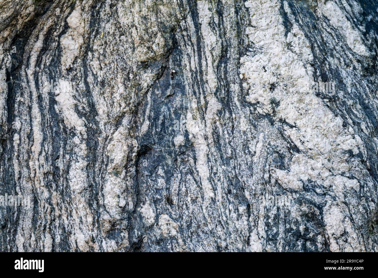 Gneiss, una roccia metamorfica di alto grado, è costituita da bande di quarzo di colore chiaro, feldspati e biotite di colore scuro. Colombia, Sud America. Foto Stock