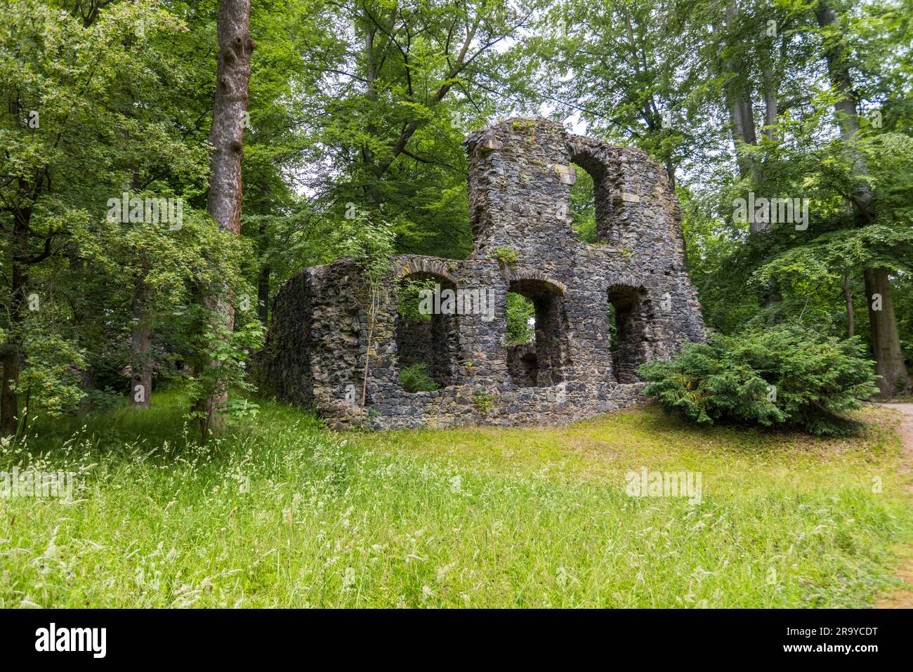 Le rovine del monastero di Altzella erano una popolare destinazione escursionistica e motivo di disegno per Caspar David Friedrich. Le "rovine di Dusk" furono create intorno al 1831, oggi Neue Pinakothek Monaco, "Klosteruinie Altzella" intorno al 1800, oggi Kunsthalle Mannheim. Parco del monastero di Altzella, Nossen, Germania Foto Stock
