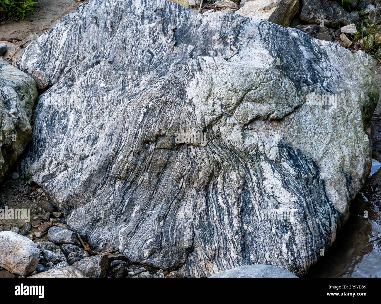 Gneiss, una roccia metamorfica di alto grado, è costituita da bande di quarzo di colore chiaro, feldspati e biotite di colore scuro. Colombia, Sud America. Foto Stock