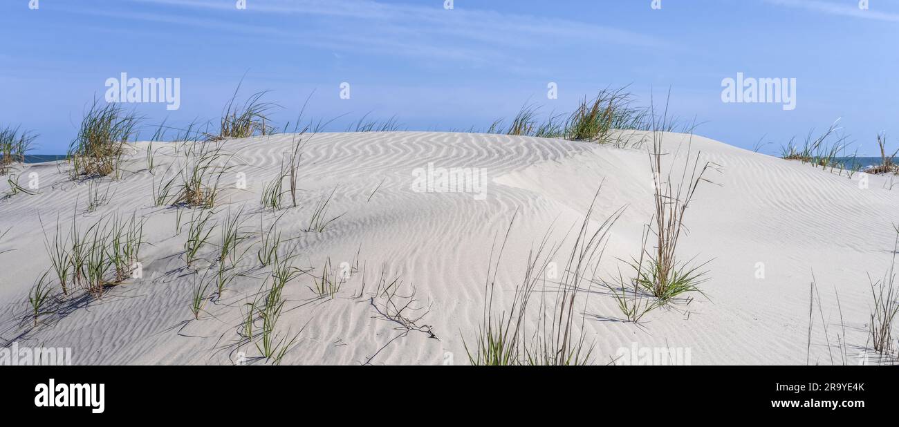 duna panoramica sull'oceano con erba marina e vento che si ripete nella sabbia Foto Stock