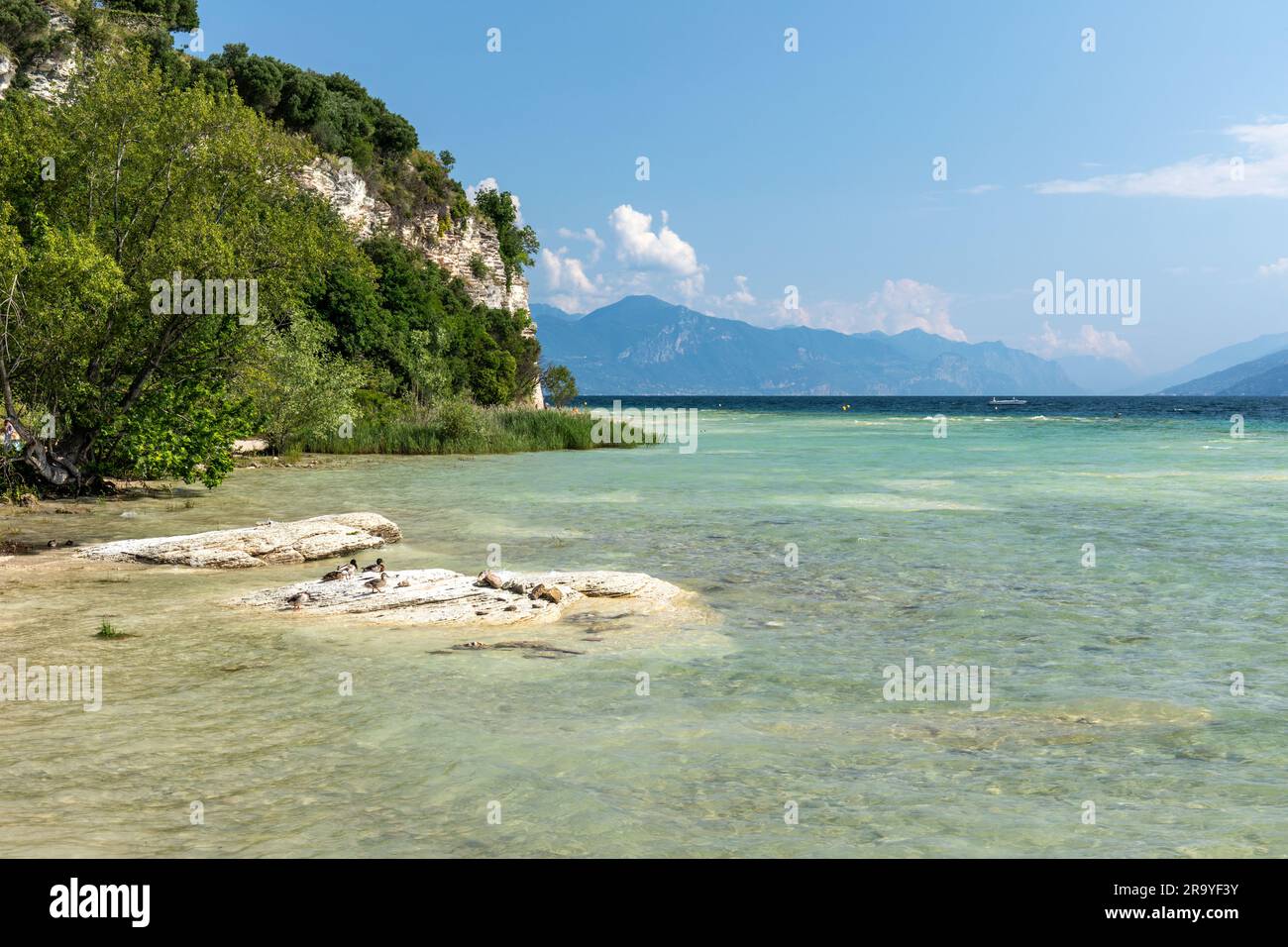 Il bellissimo e pittoresco litorale della penisola di Sirmione. Una spiaggia rocciosa a Sirmione, Lago di Garda, Italia, Europa Foto Stock