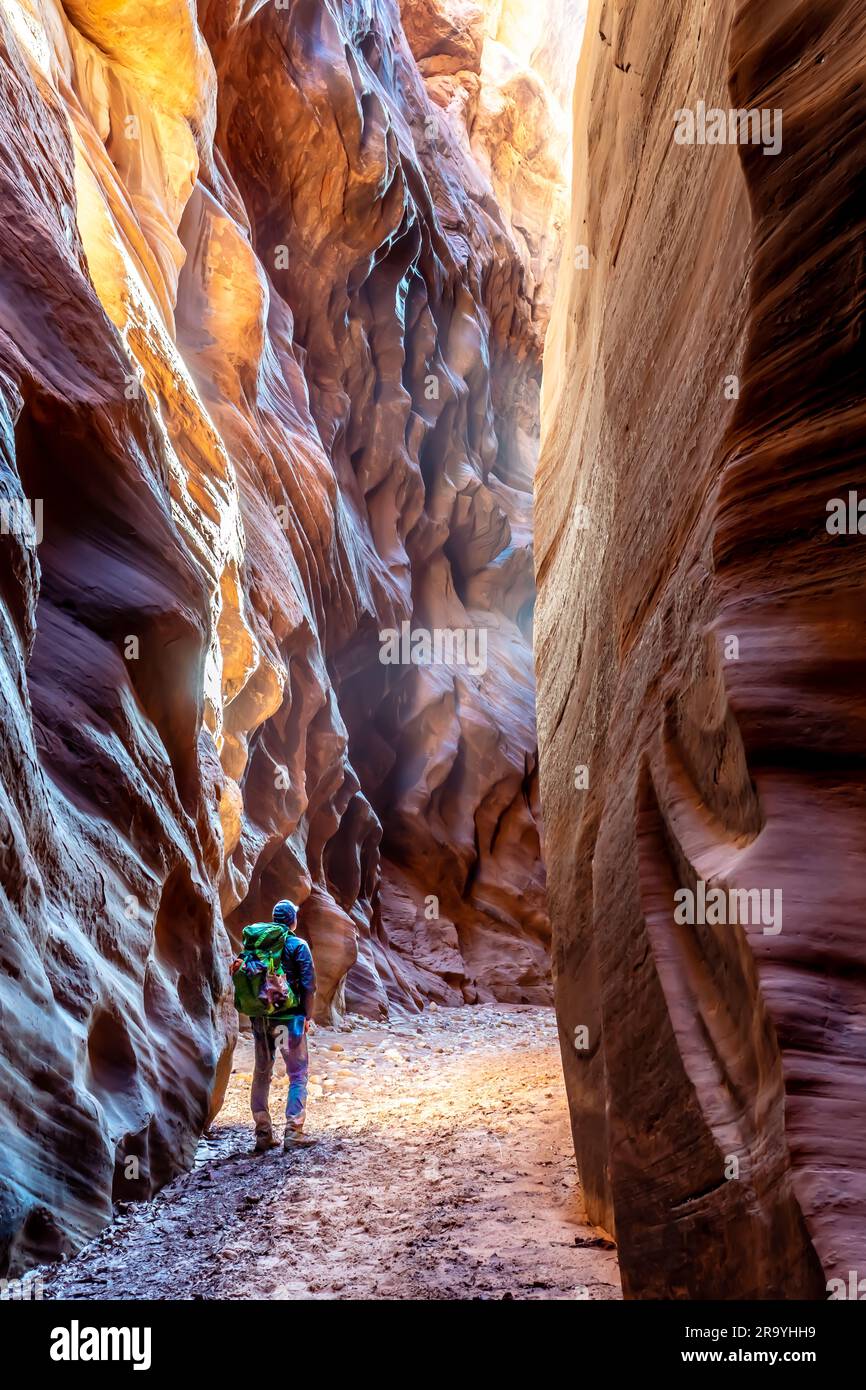 Un escursionista, in piedi, che guarda le pareti curve di uno slot canyon mentre è illuminato da luci soffuse riflettenti, Buckskin Gulch, Vermilion Cliffs Wild Foto Stock