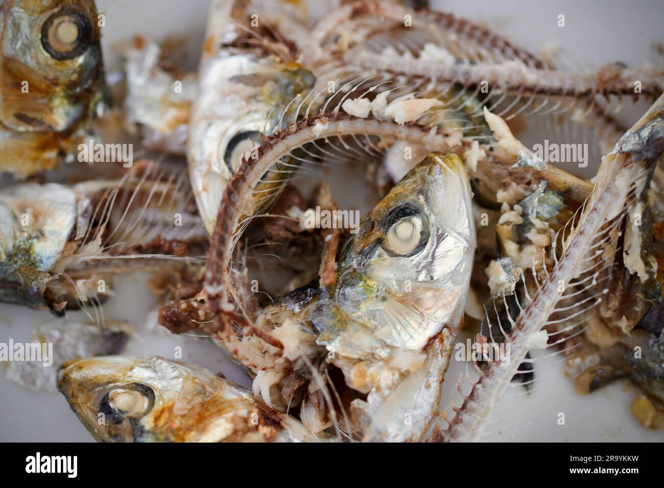Scheletri di sardine su un piatto Foto Stock