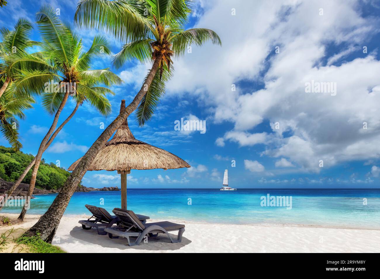 Spiaggia paradisiaca con palme, ombrellone e barca a vela nel mare tropicale dell'isola caraibica. Foto Stock