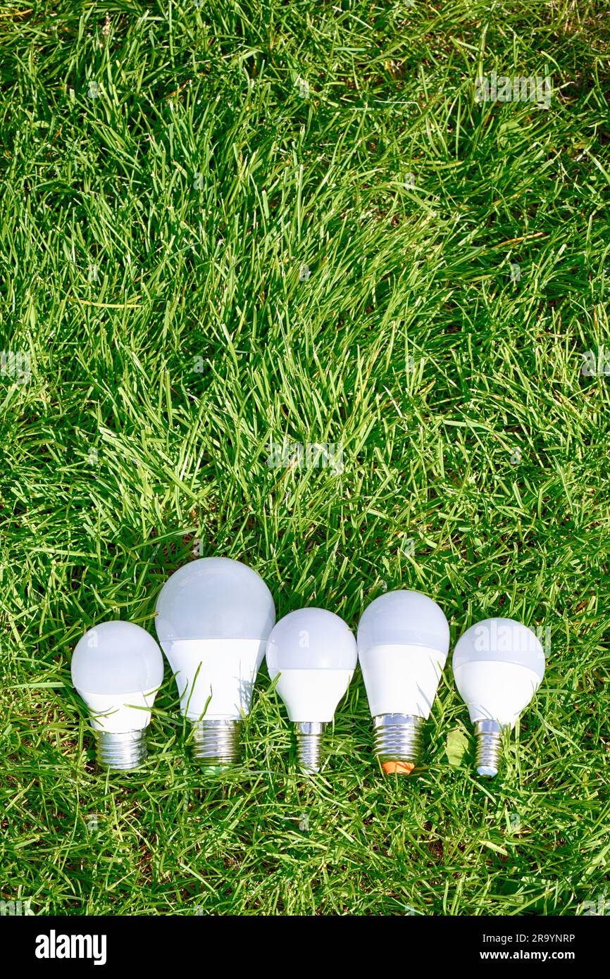 Lampadina a LED su erba verde. Risparmio energetico. Energia verde. Foto Stock