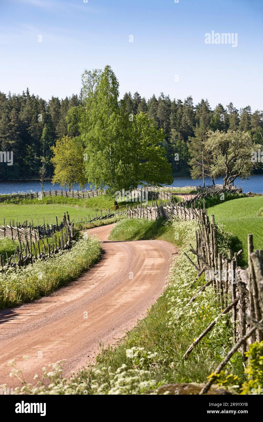 Recinzione strada sterrata lungo il paesaggio con alberi contro il cielo sullo sfondo. Småland, Svezia. Foto Stock