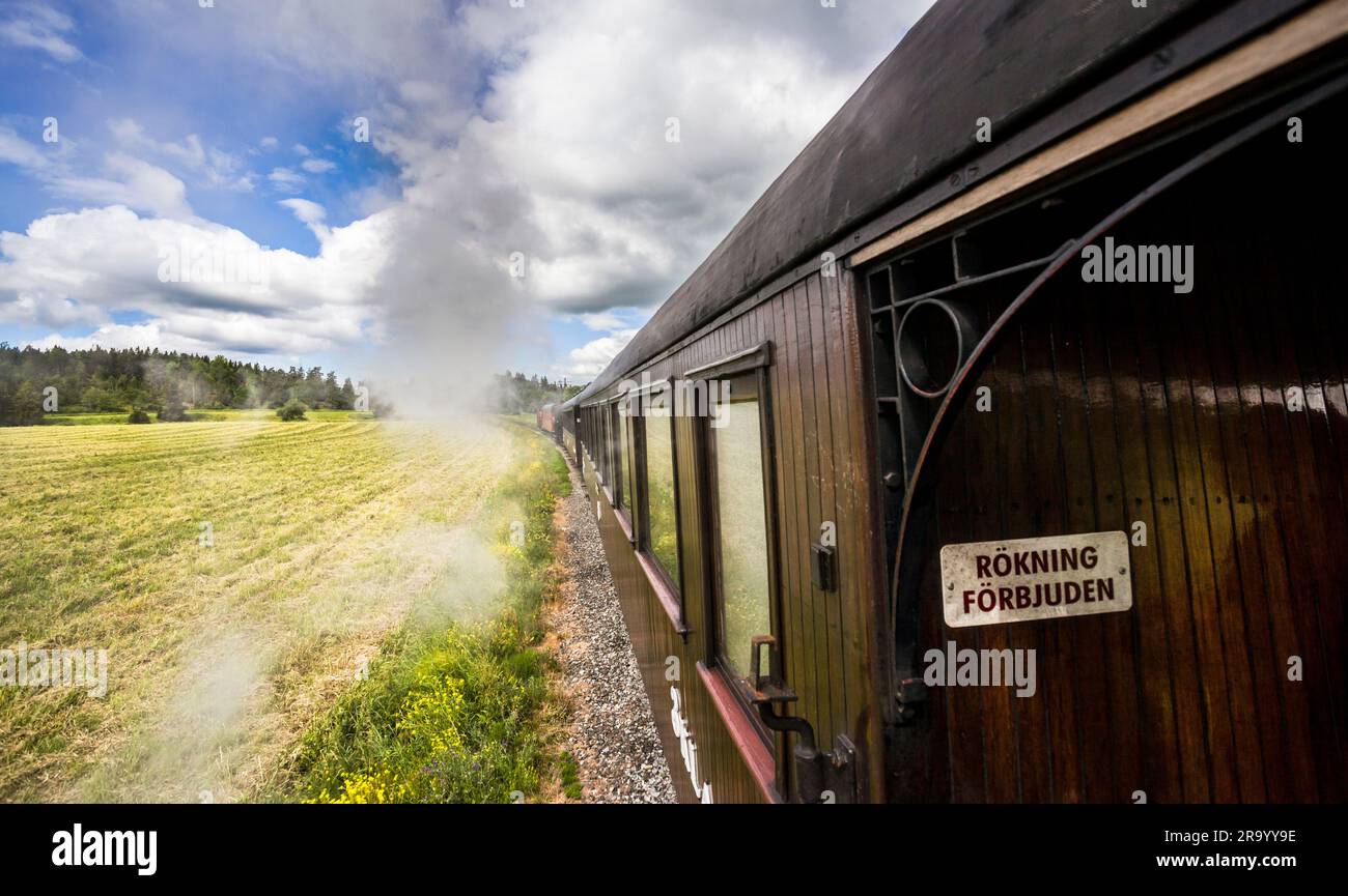 Treno a vapore attraverso i campi agricoli sotto il cielo nuvoloso Foto Stock