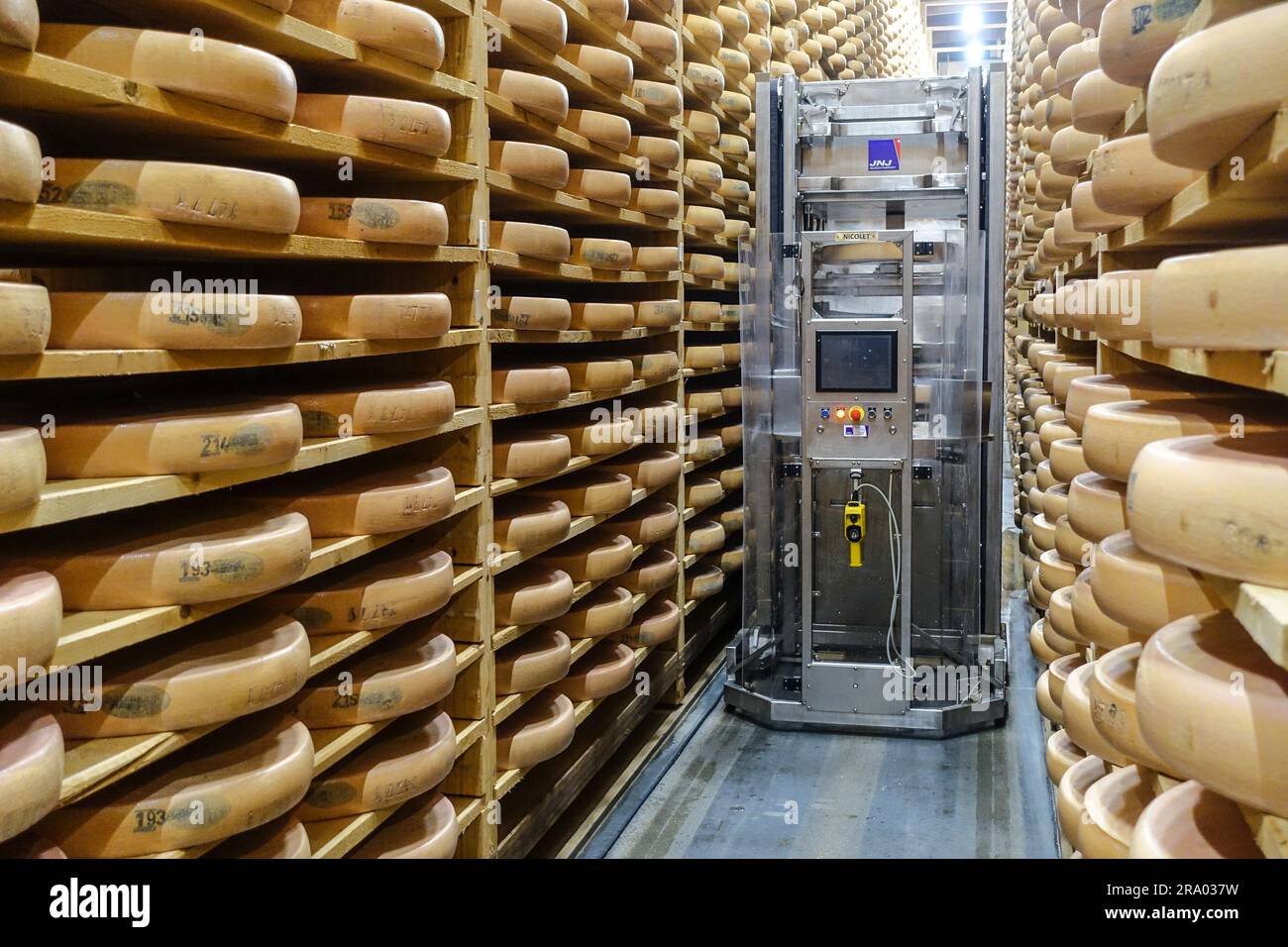 Formaggio Comté stagionato nelle cantine di Fort Saint-Antoine, vicino a Pontarlier, Franca Contea, Francia Foto Stock