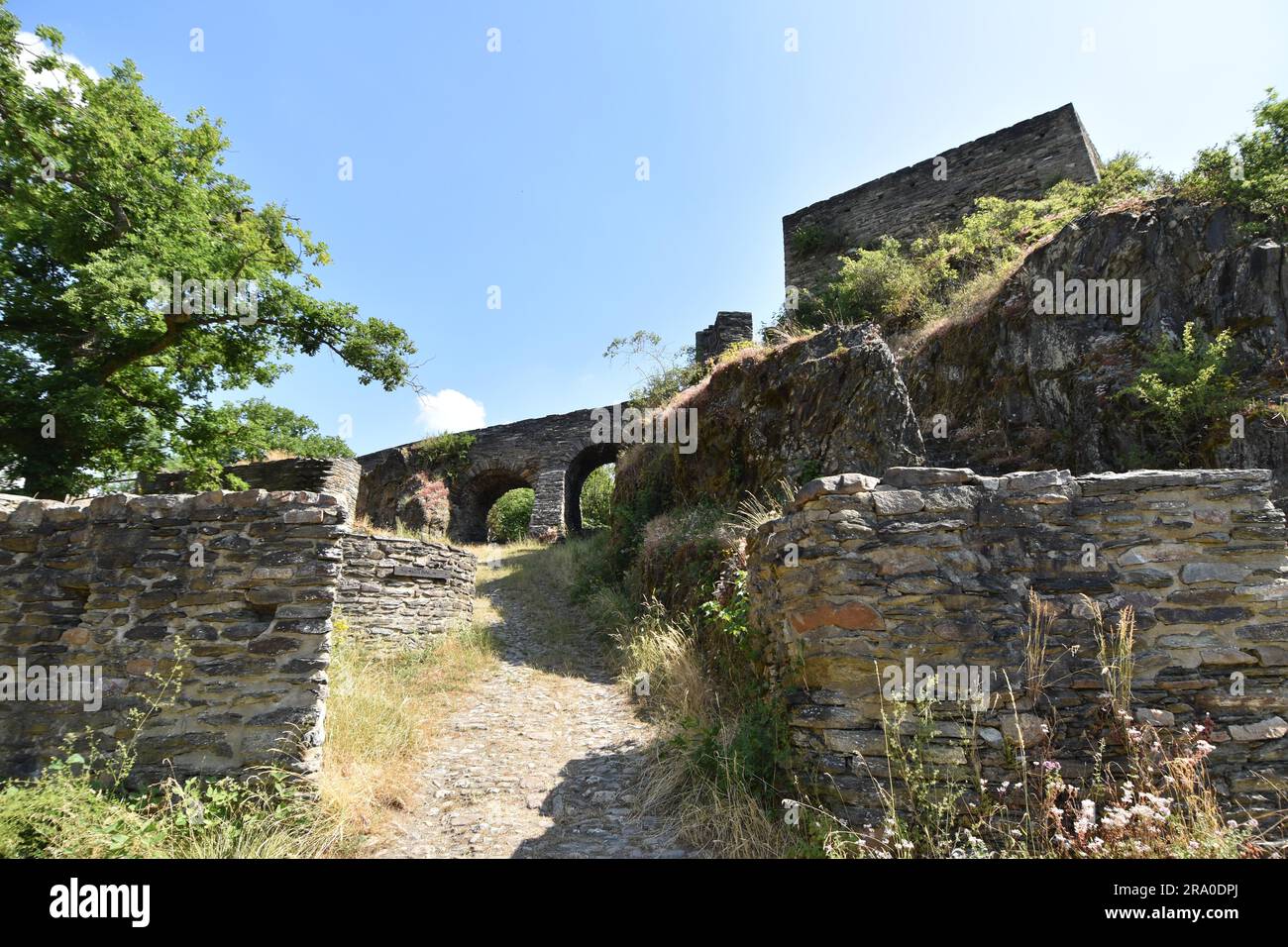 Dettagli del castello di Schmidtburg costruito in cima alla collina nel IX secolo nella valle di Hahnenbach vicino a Schneppenbach a Hunsrueck, Renania-Palatinato Foto Stock