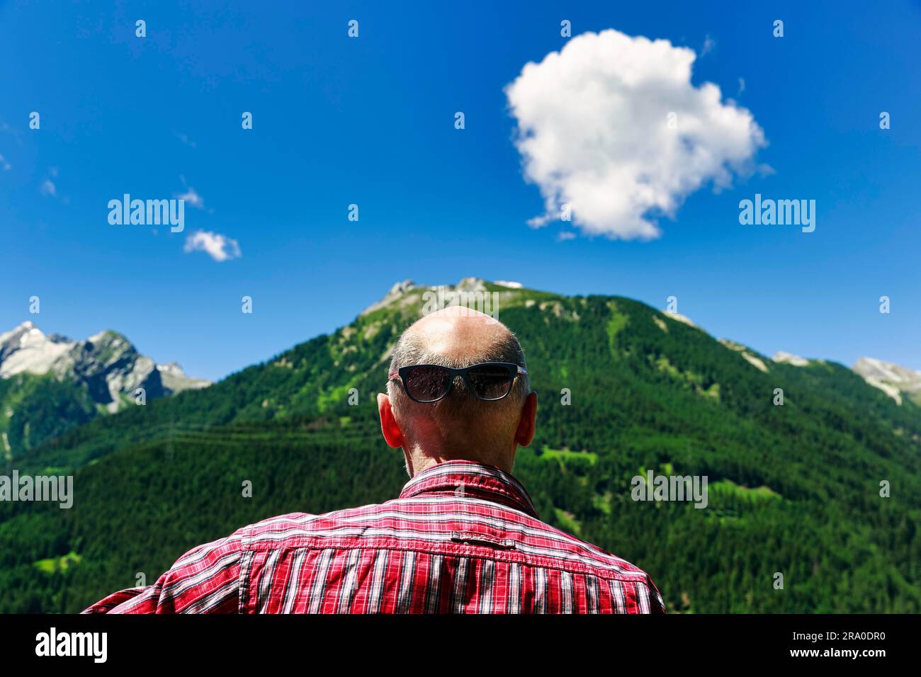 Ritratto divertente e surreale, Best Ager con testa calva e occhiali da sole sul retro della testa, con vista sulle Alpi, vista da dietro, Svizzera Foto Stock