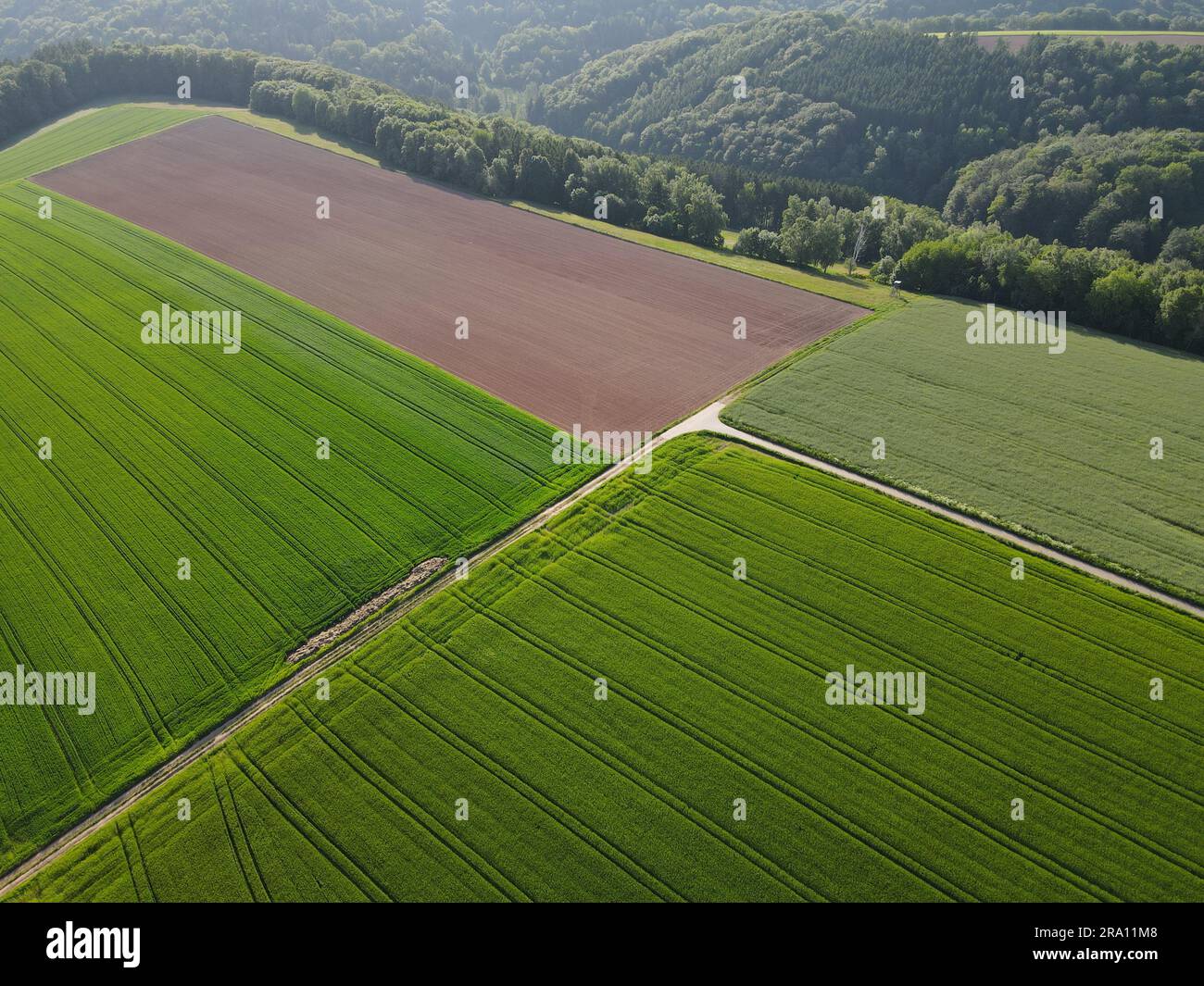 Vista aerea dei verdi campi coltivati e dei campi agricoli arati con sporcizia all'inizio dell'estate Foto Stock