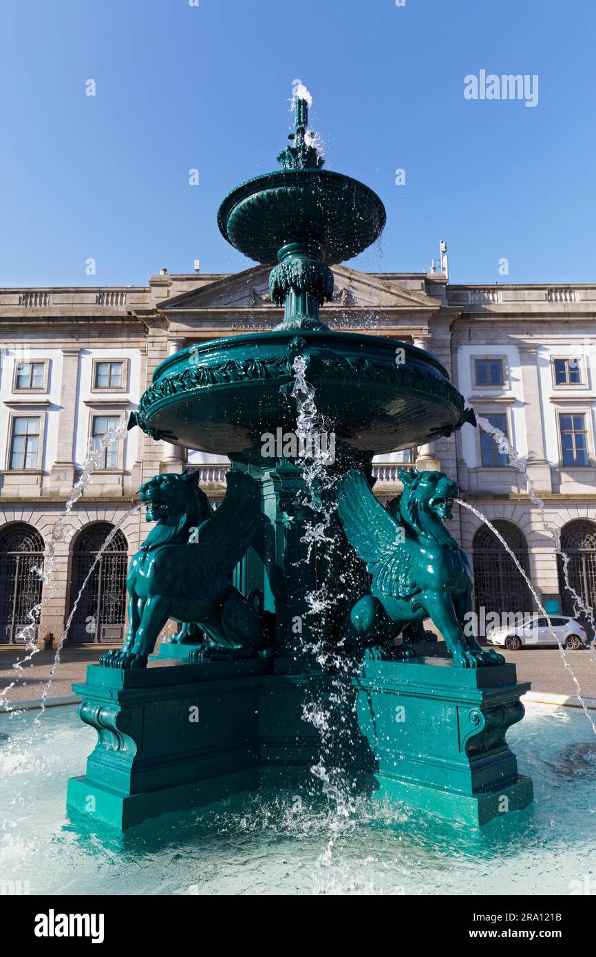 Fonte dos Leoes fontana di leone di fronte all'università, fontana barocca di Nicolau Nasoni, Porto, Portogallo Foto Stock