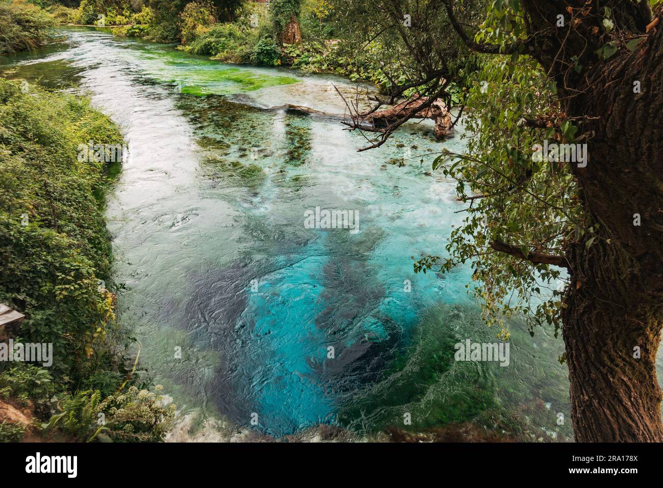 L'occhio blu (Syri i Kaltër), una sorgente d'acqua naturale e un pozzo per nuotare famoso per il suo colore blu profondo nel sud dell'Albania. Un popolare sito turistico Foto Stock