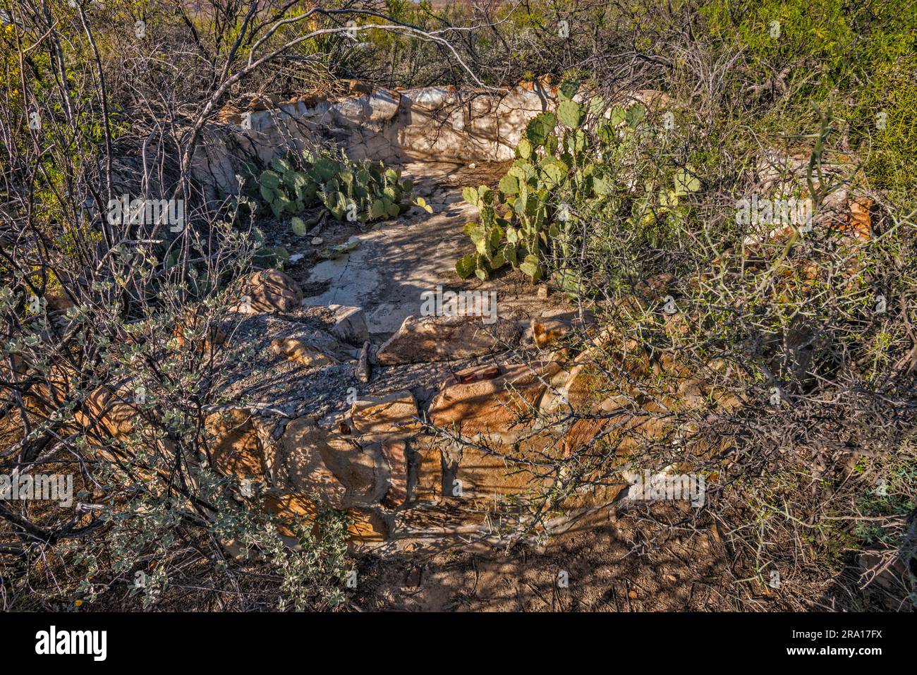 Vecchia vasca di scorta presso Grapevine Spring Pioneer Settlement, Big Bend National Park, Texas, USA Foto Stock