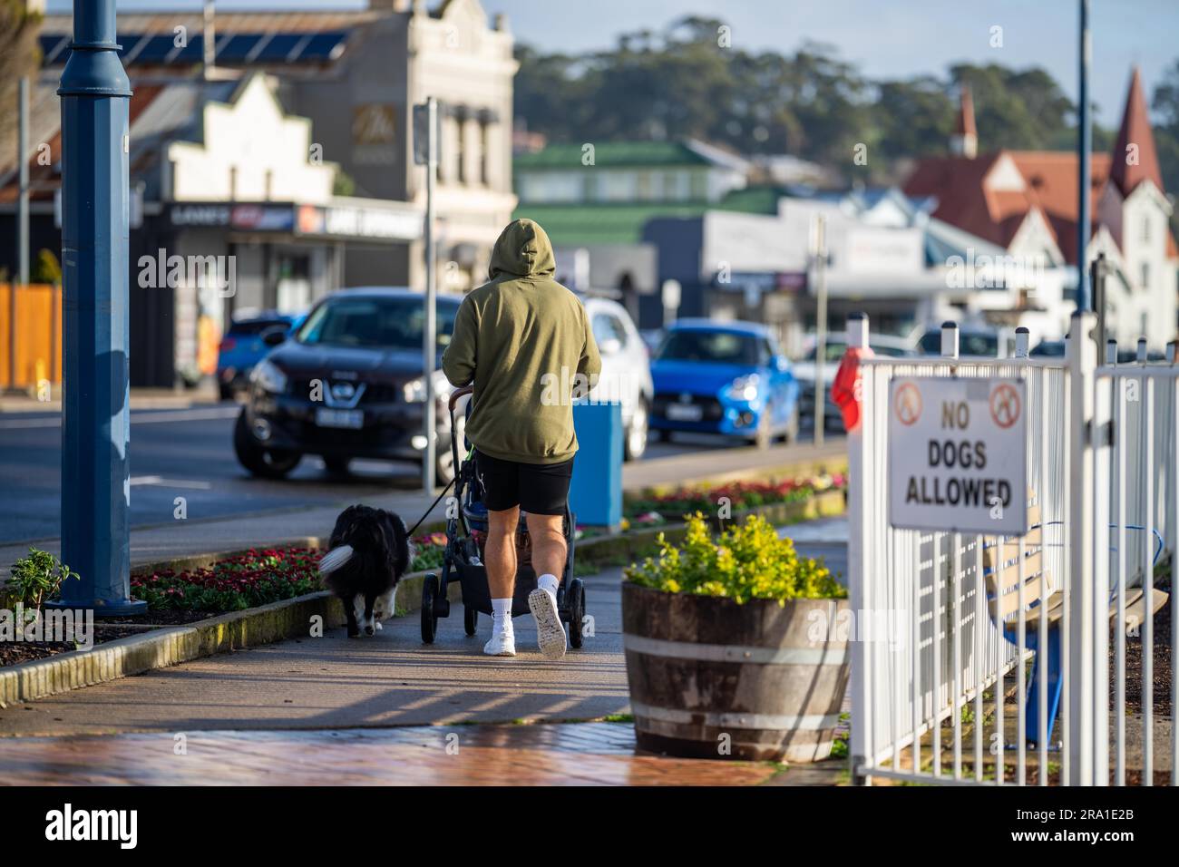 papà che cammina con la carrozza e il cane ha superato un cartello di divieto di accesso ai cani in un parco in australia in primavera Foto Stock