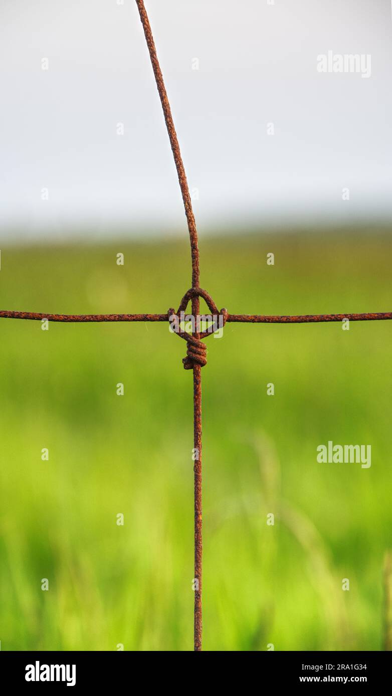 filo a croce Foto Stock