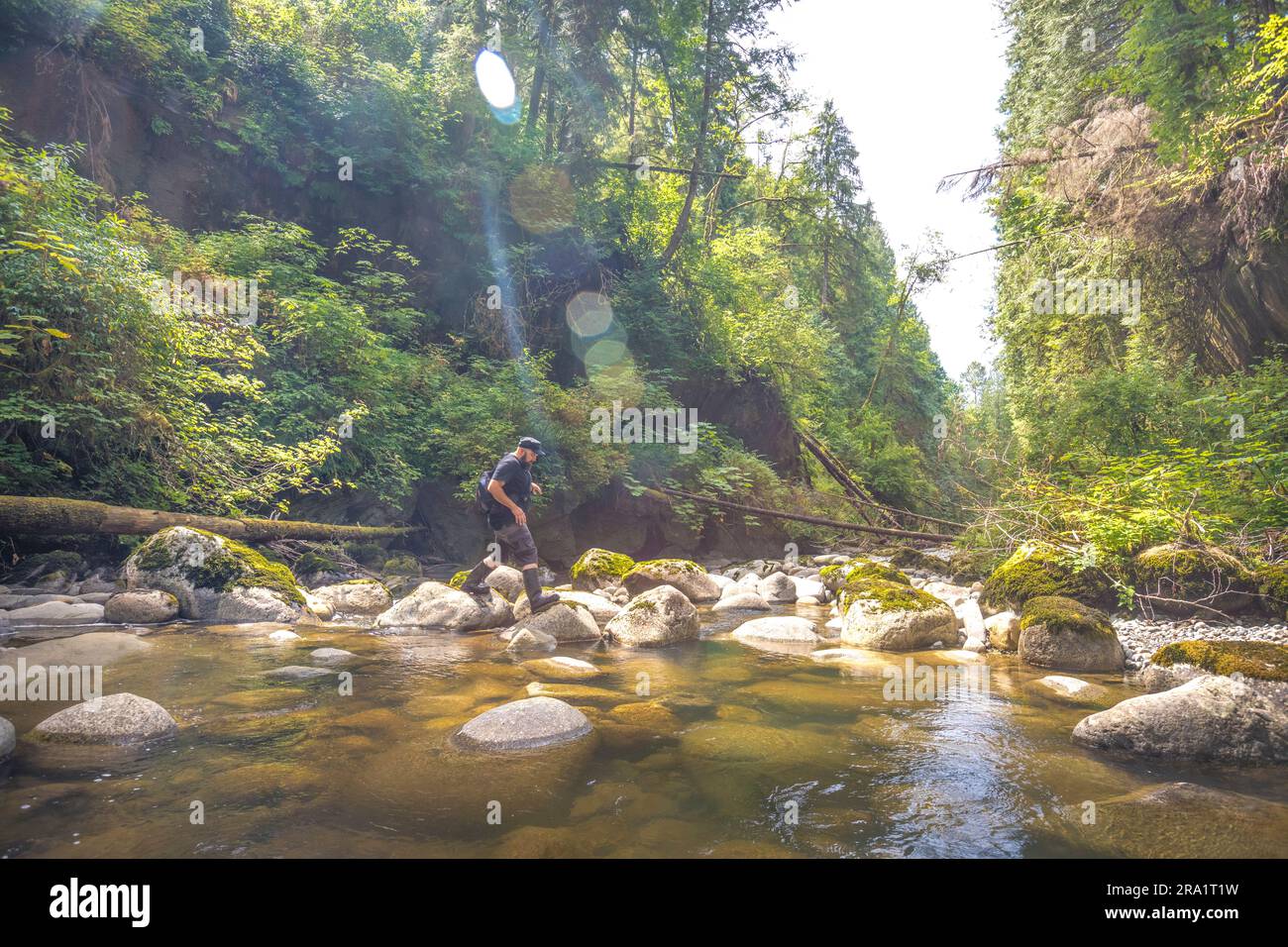 Man crossing stream nel Kanaka Creek Regional Park, Maple Ridge, British Columbia, Canada Foto Stock