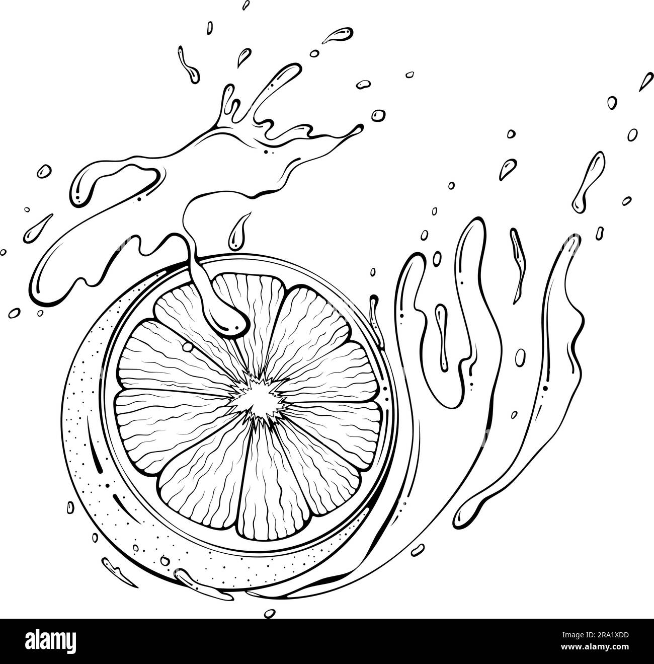 Mezzo limone con disegno a splash line Illustrazione Vettoriale