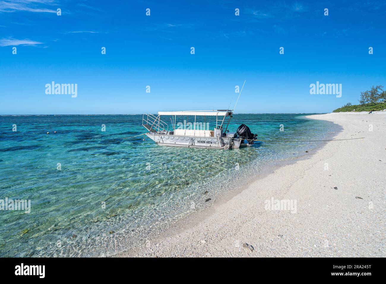 Barca con fondo in vetro ancorata nelle acque protette di Lagoon Beach, Lady Elliot Island Eco Resort, Queensland, Australia Foto Stock