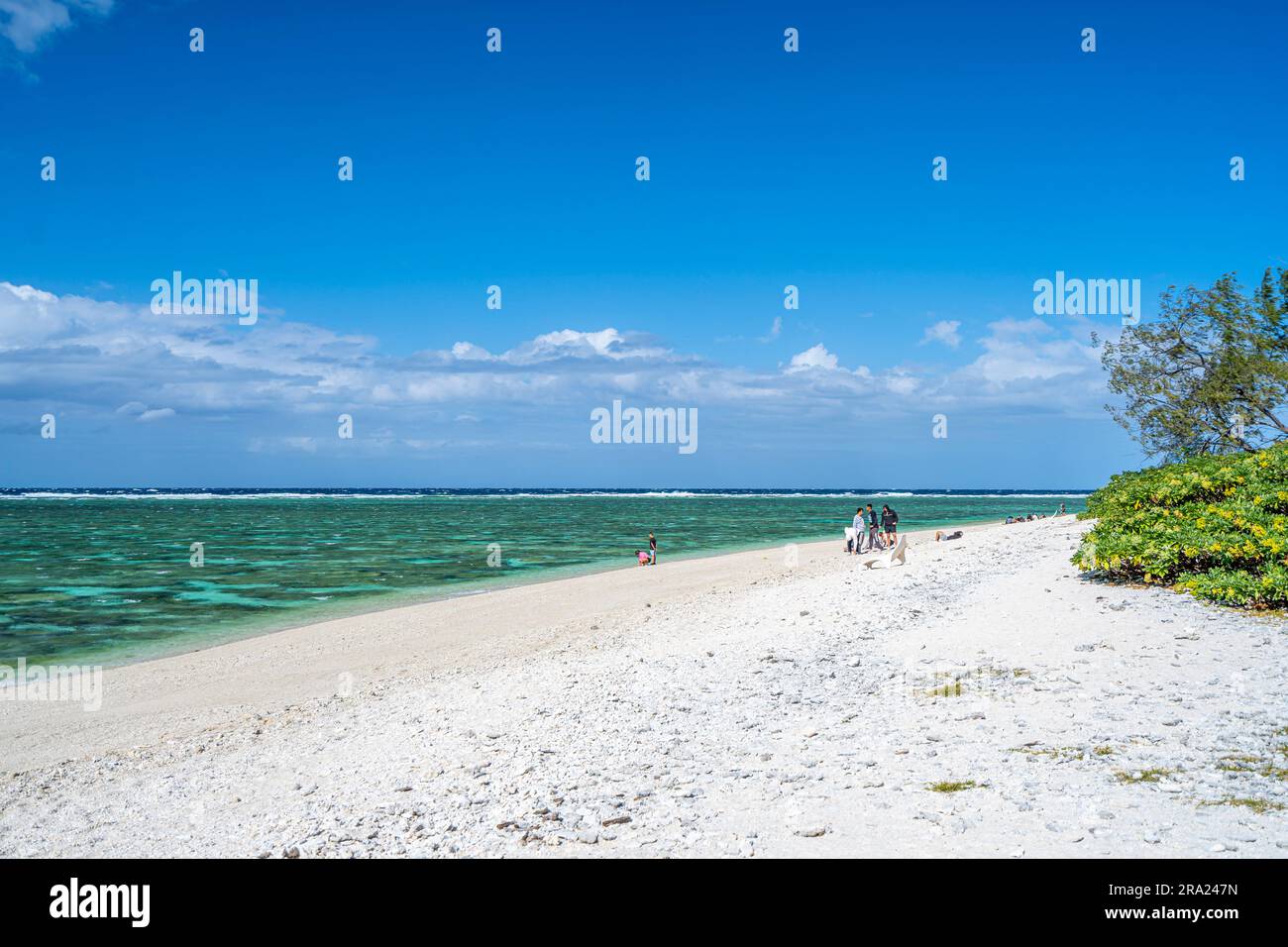 Barriera corallina a Lagoon Beach, Lady Elliot Island Eco Resort, Queensland, Australia Foto Stock